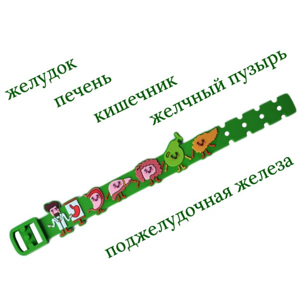 7046754536 Браслет-подарок гастроэнтерологу (сувенир)