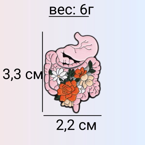 -10 Брошь-подарок гастроэнтерологу