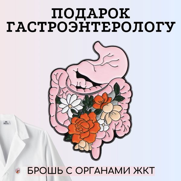 брошь Брошь-подарок гастроэнтерологу